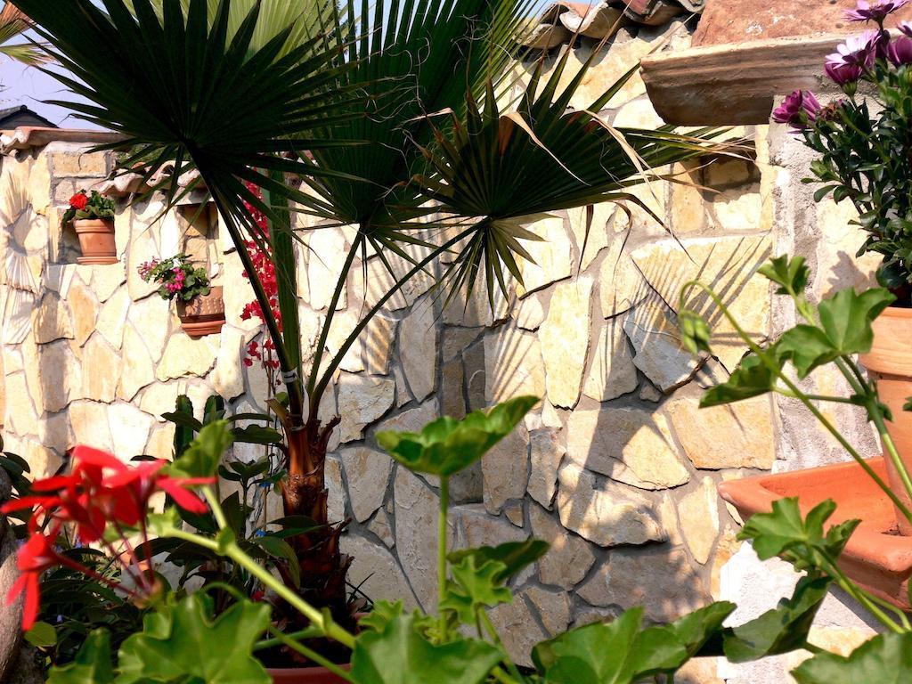 Apartmenthaus Casa Palma บึล ภายนอก รูปภาพ